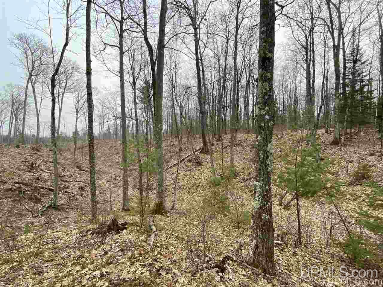 Tbd Plains Cutoff Road Baraga, MI 49908 - Photo 5 of 49