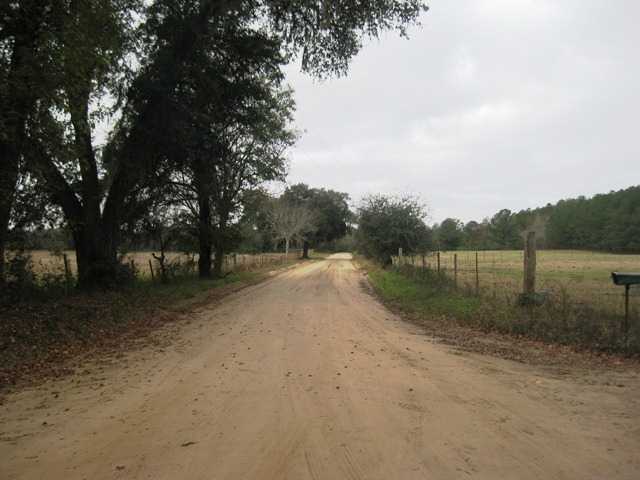 Lot 19 Johnny Road Lamont, FL 32336 - Photo 1 of 3 Gallery Image 1