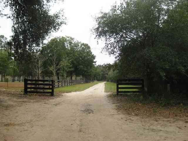Lot 19 Johnny Road Lamont, FL 32336 - Photo 2 of 3 Gallery Image 2
