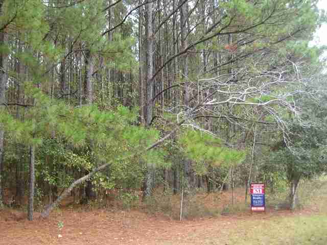 Lot 19 Johnny Road Lamont, FL 32336 - Photo 3 of 3 Gallery Image 3