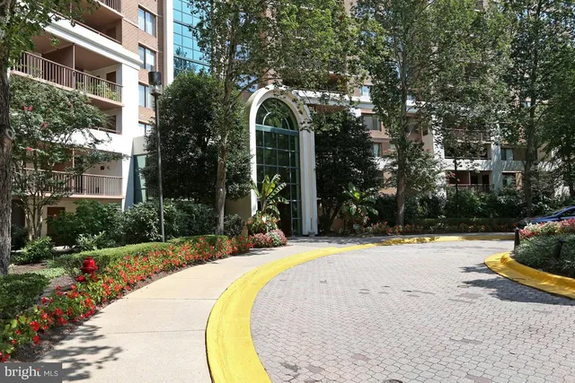 a view of a swimming pool with some potted plants and large trees