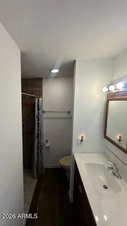 a bathroom with a sink a toilet and shower