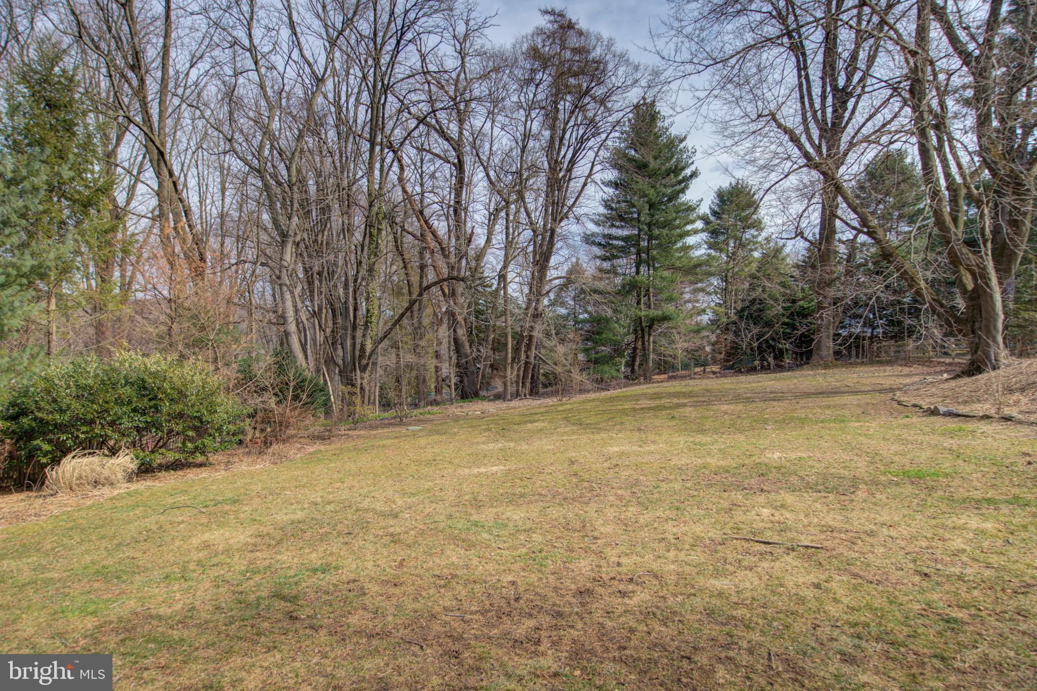 120 Patton Lane Wayne, PA 19087 - Photo 3 of 39 Side Yard