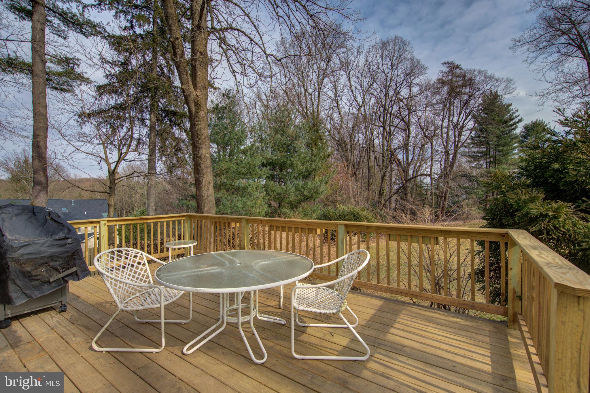 120 Patton Lane Wayne, PA 19087 - Photo 22 of 39 Back Deck