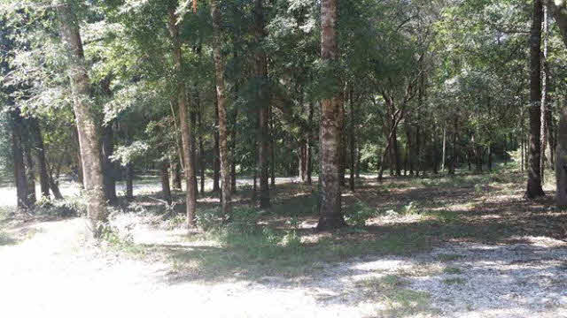13410 Highway 98 Foley, AL 36535 - Photo 8 of 17