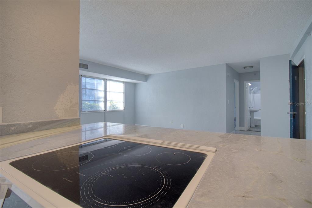 3315 58th Avenue South, Unit 112 St. Petersburg, FL 33712 - Photo 14 of 38 a view of kitchen and a window