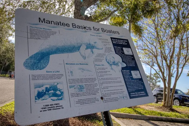 an aerial view of a house with swimming pool and large trees