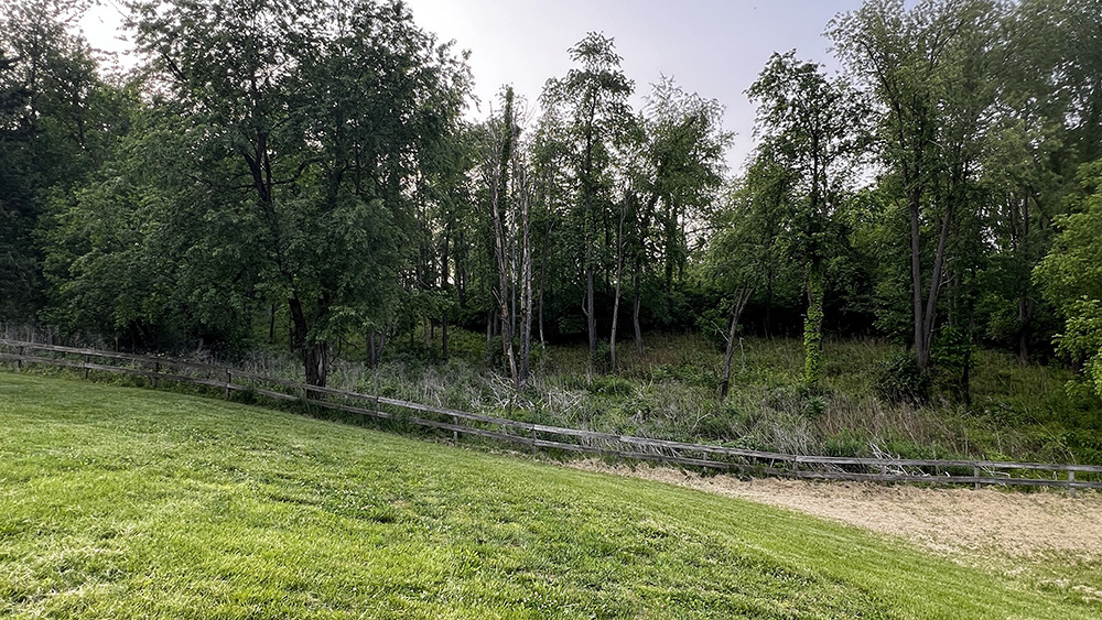 15501 Bishop Road Morrison, IL 61270 - Photo 54 of 69