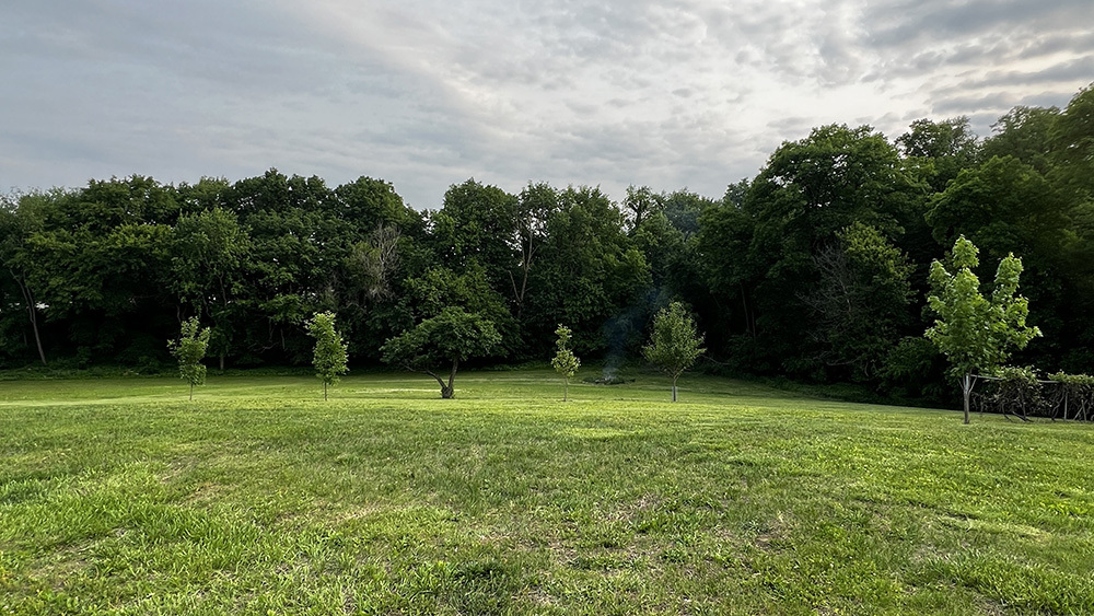 15501 Bishop Road Morrison, IL 61270 - Photo 57 of 69