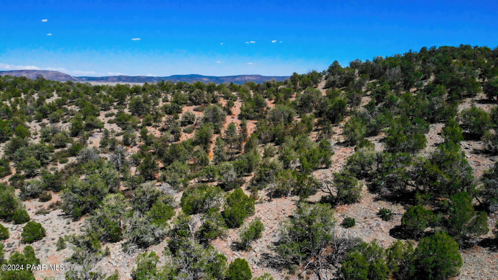 30117010 L Unnamed Road Seligman, AZ 86337 - Photo 8 of 10 a view of a city