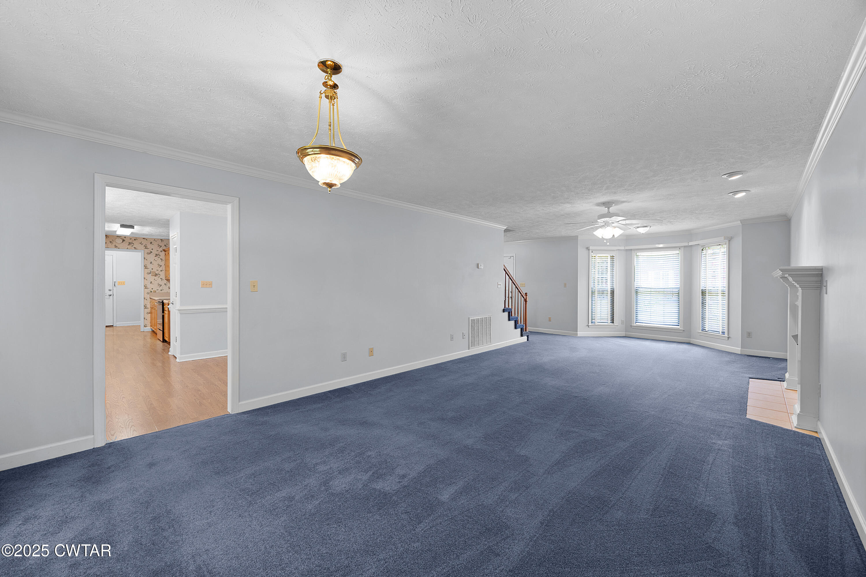 56 Braddock Place Jackson, TN 38305 - Photo 9 of 22 E02A7497