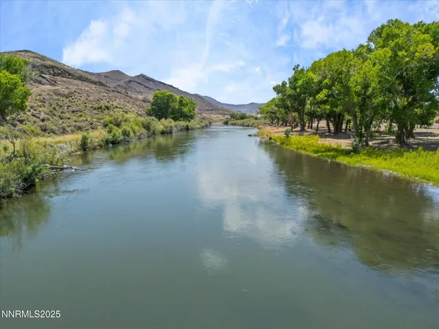 a view of swimming pool with a yard and large tree