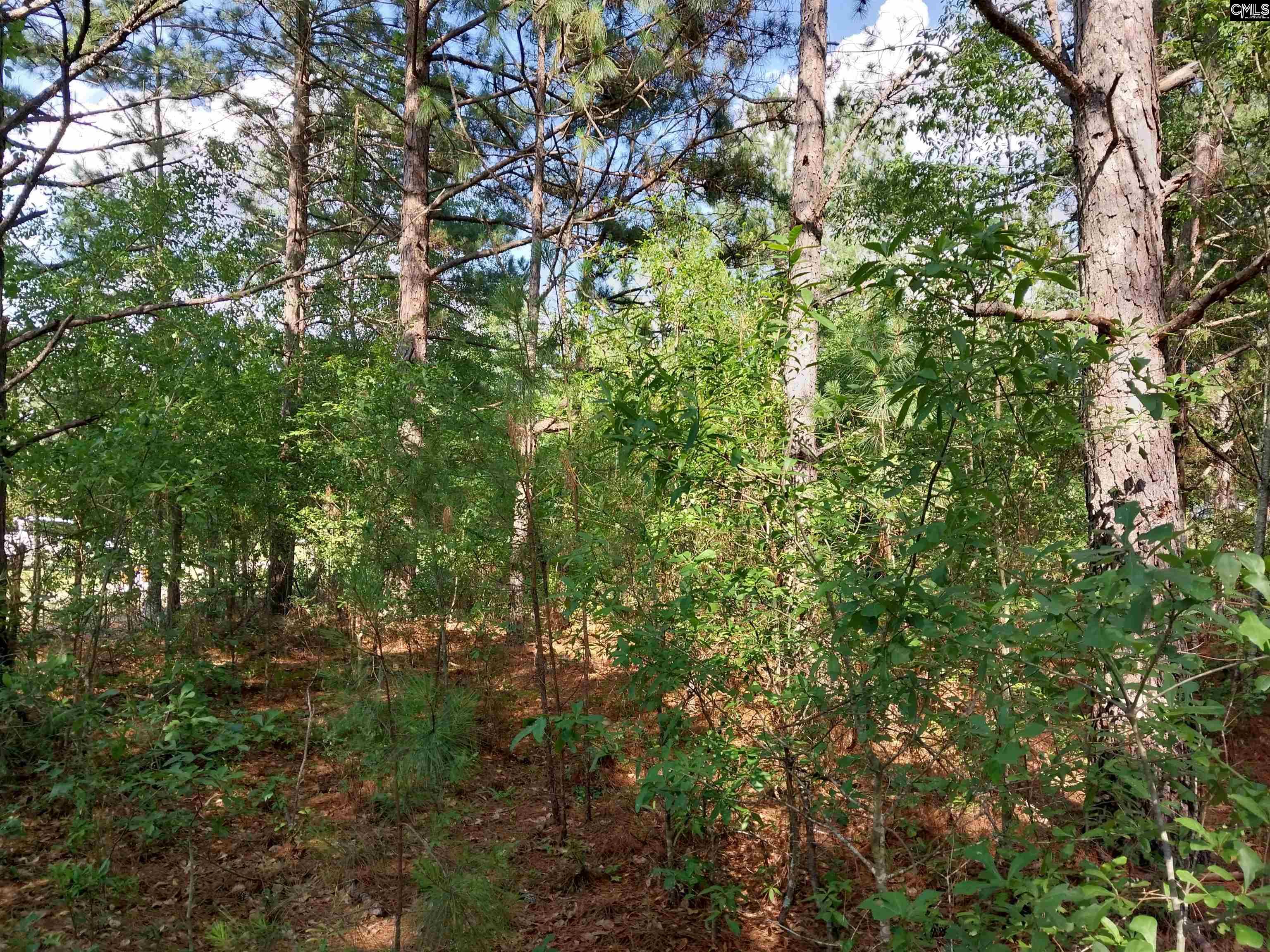 408 Sells Court Pelion, SC 29123 - Photo 4 of 6