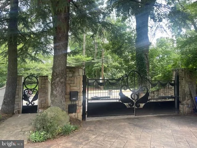 a view of outdoor space with deck and tree