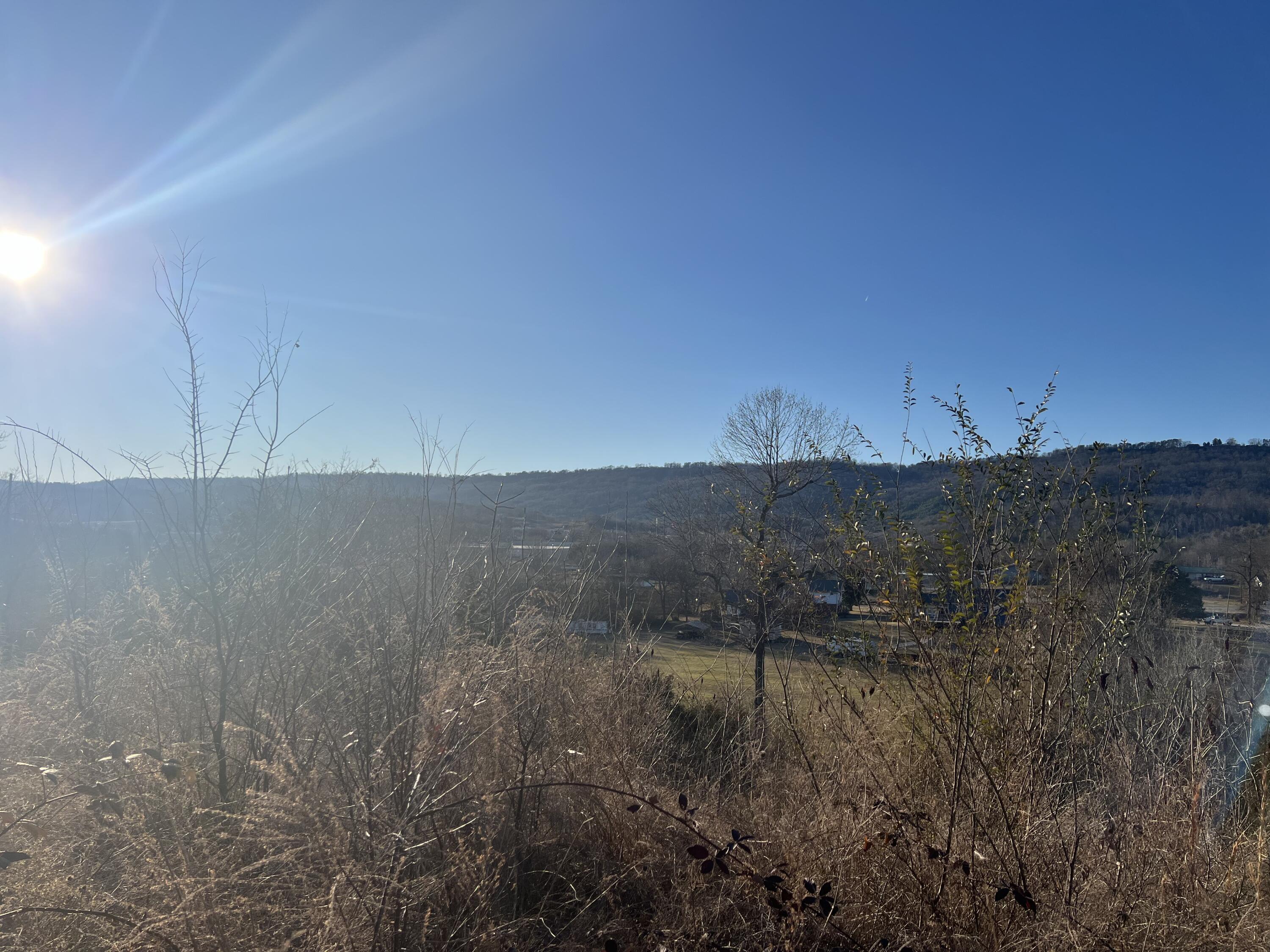 0 Cedar Breeze, Unit 2 Trenton, GA 30752 - Photo 2 of 2 view from lot#2