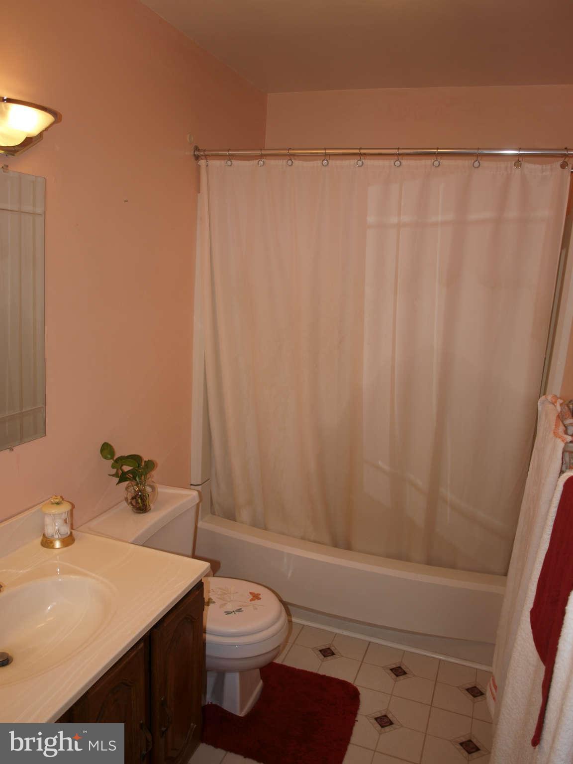 53 Wind Mill Road Conowingo, MD 21918 - Photo 27 of 30 Bath