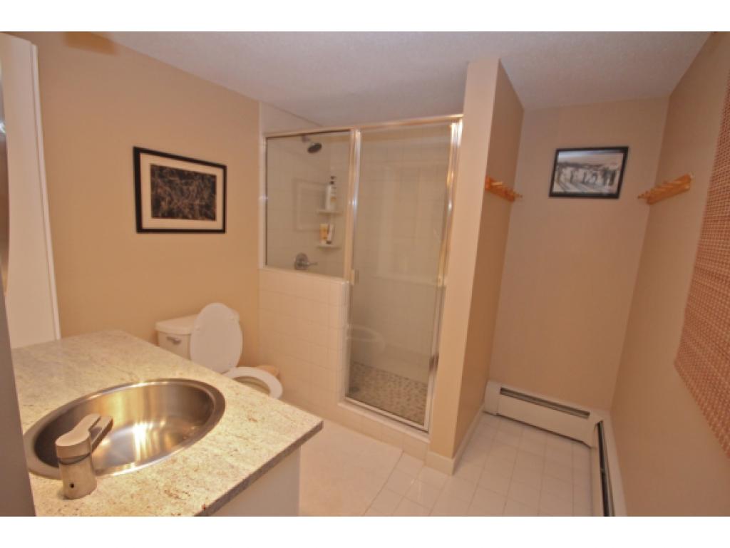 607 Mountains Edge Road, Unit 607 Brownsville, VT 05037 - Photo 7 of 15