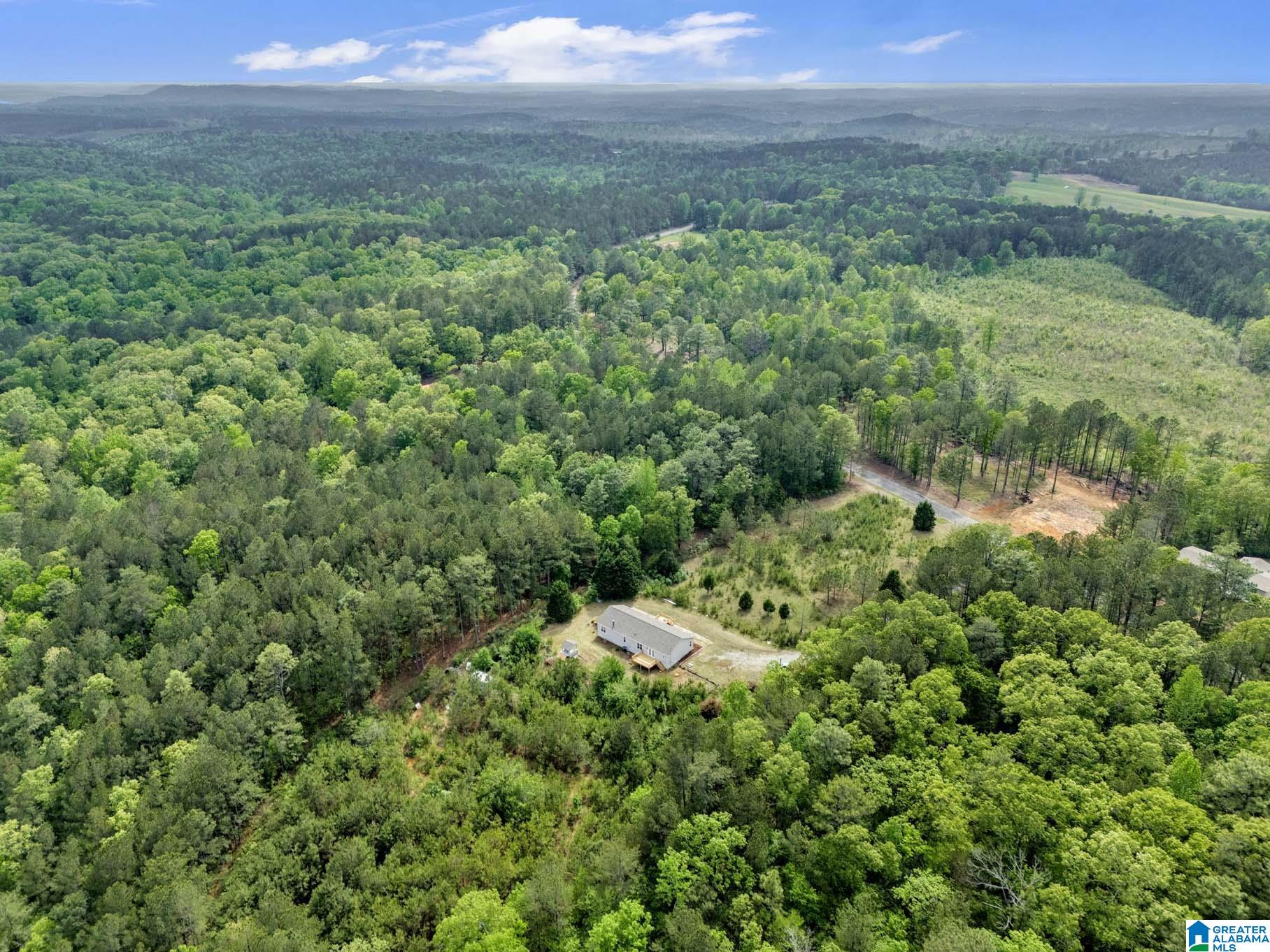 4634 Old Pineywoods Road Jasper, AL 35504 - Photo 30 of 33