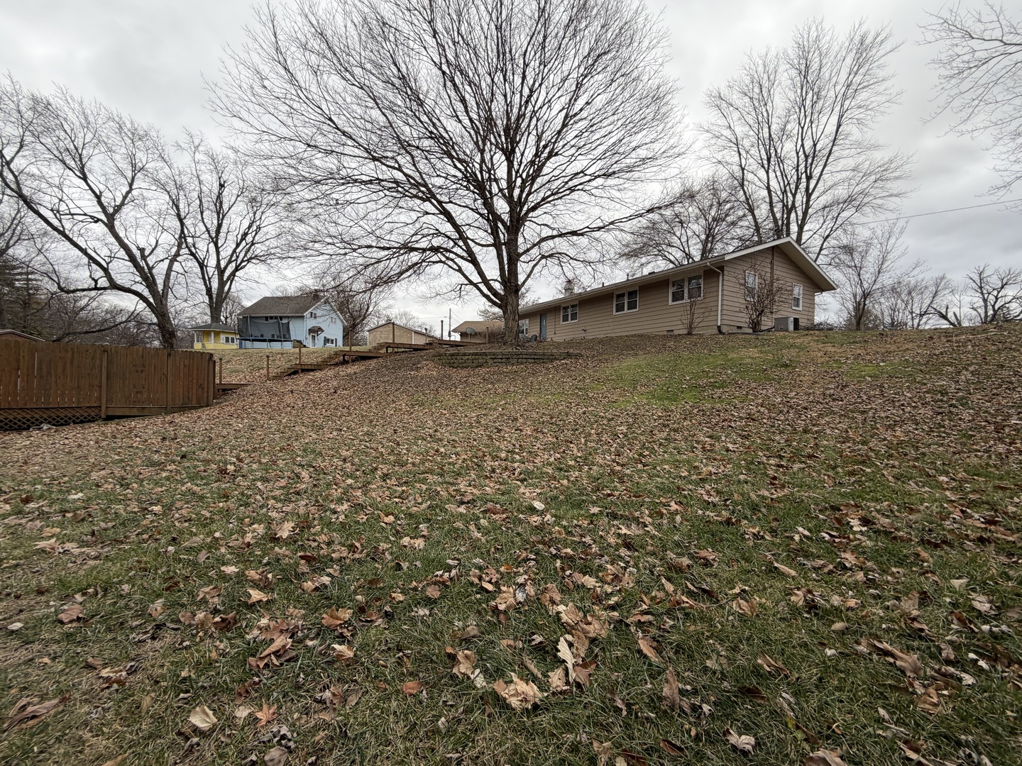 605 Douglas Street Catlin, IL 61817 - Photo 38 of 41 a view of a yard with a large tree
