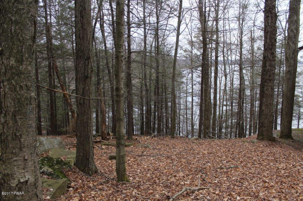 54 Glen Road Lake Ariel, PA 18436 - Photo 1 of 6