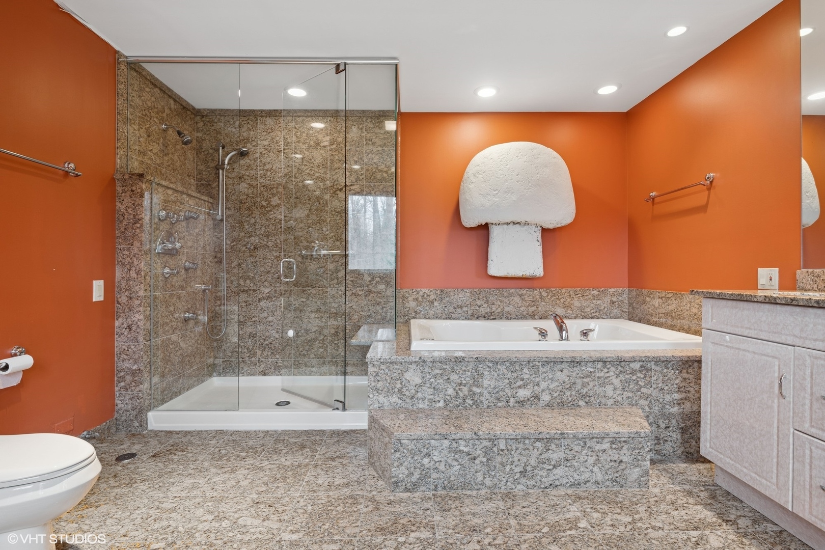 2000 Clendenin Lane Riverwoods, IL 60015 - Photo 20 of 51 a bathroom with a granite countertop sink a toilet and shower