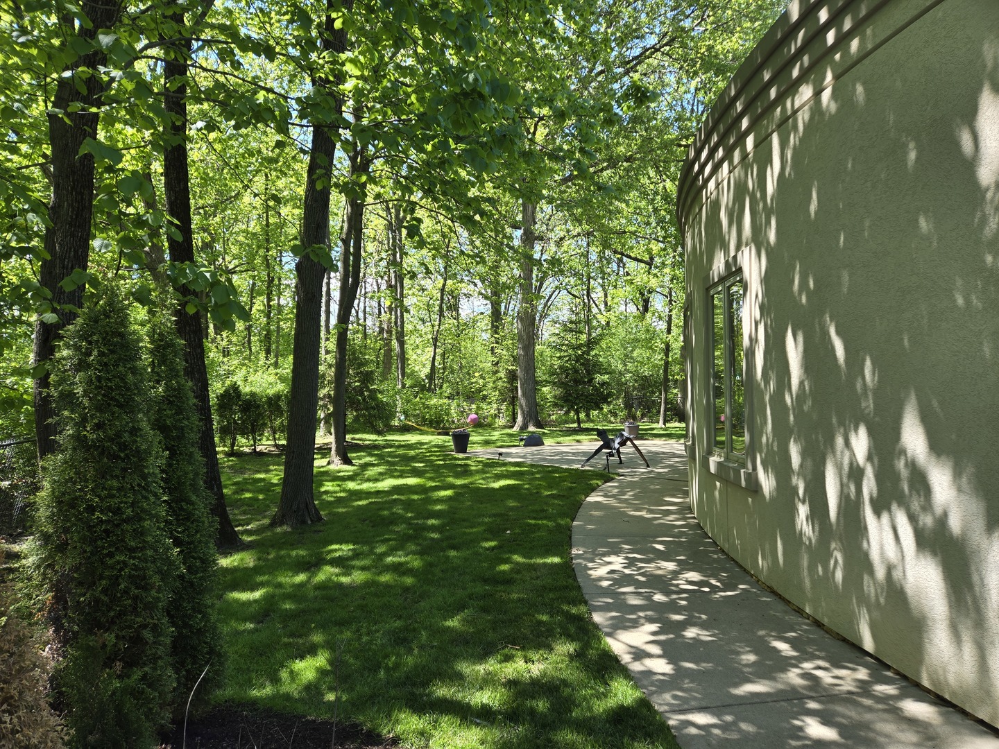 2000 Clendenin Lane Riverwoods, IL 60015 - Photo 47 of 51 a view of a forest