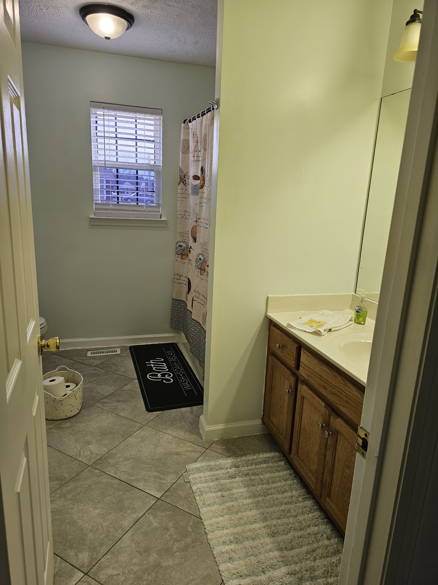 331 Chrissa Lane Lebanon, TN 37087 - Photo 12 of 20 a bathroom with a sink and a mirror