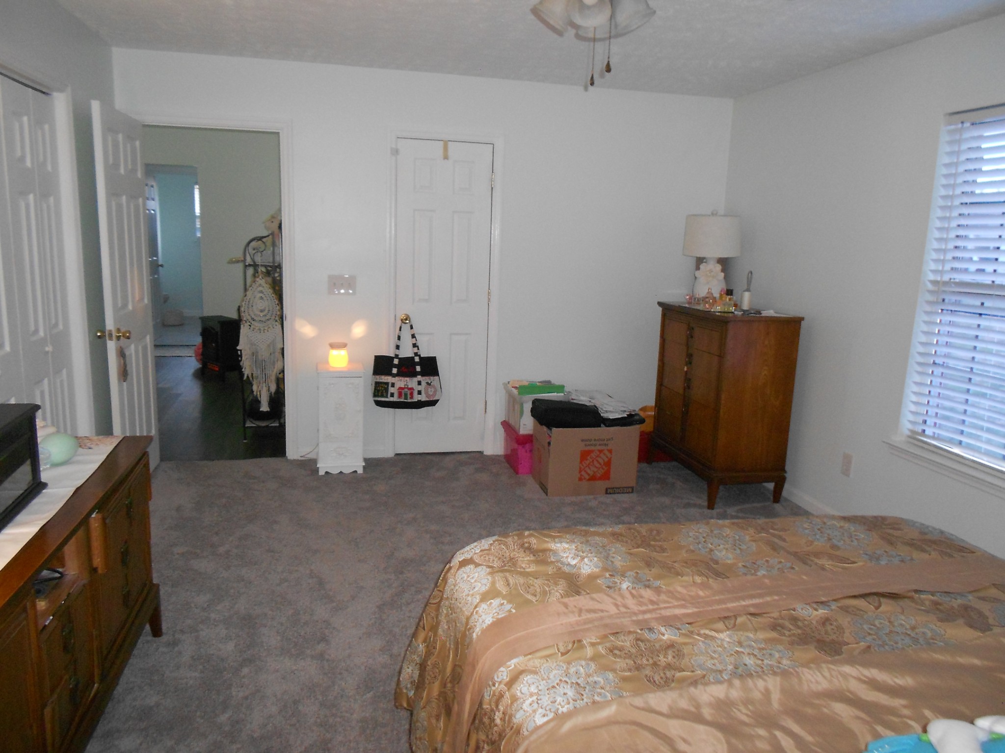 331 Chrissa Lane Lebanon, TN 37087 - Photo 8 of 20 a bed room with a bed and a potted plant