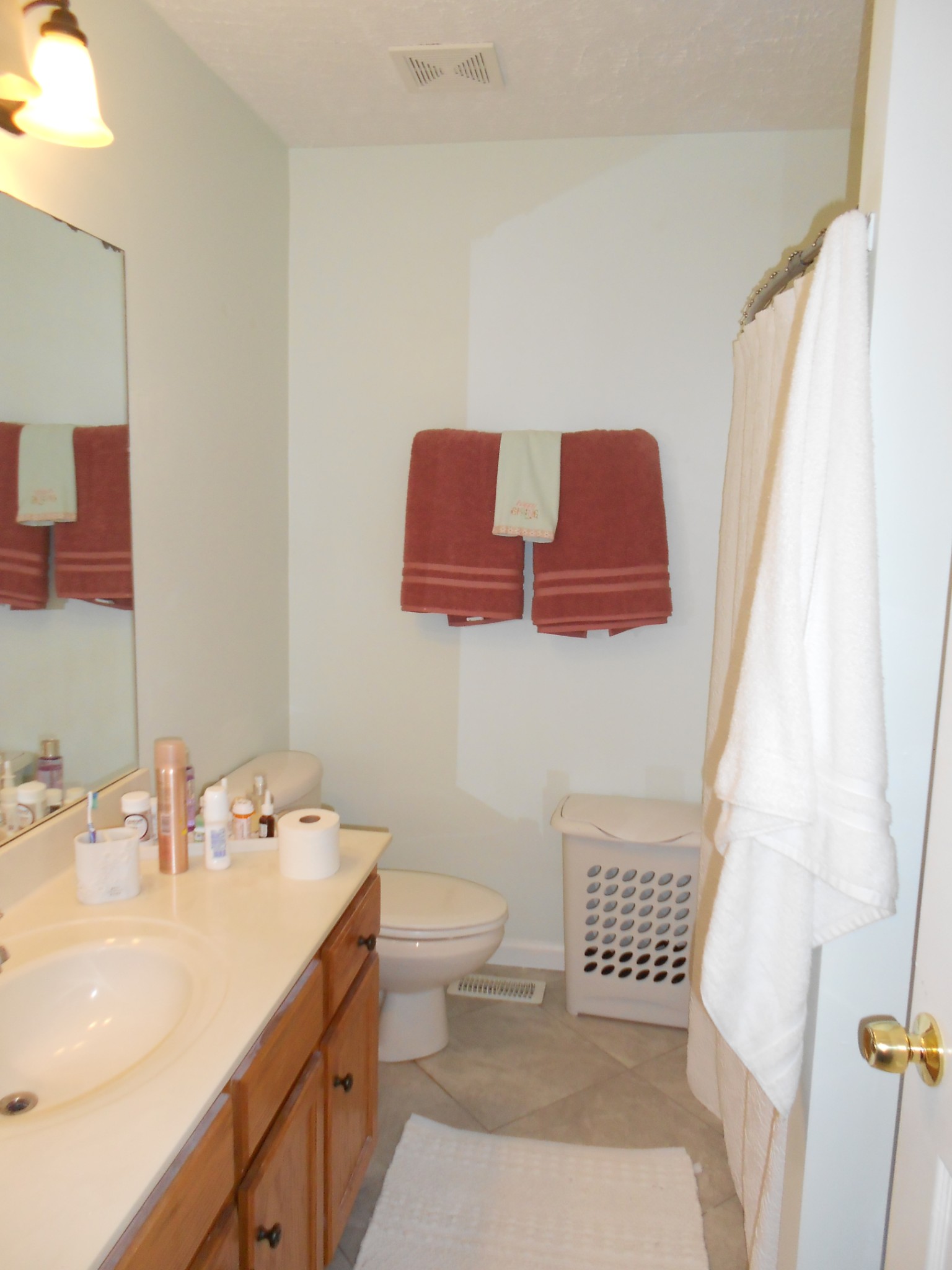 331 Chrissa Lane Lebanon, TN 37087 - Photo 9 of 20 a bathroom with a sink and a mirror