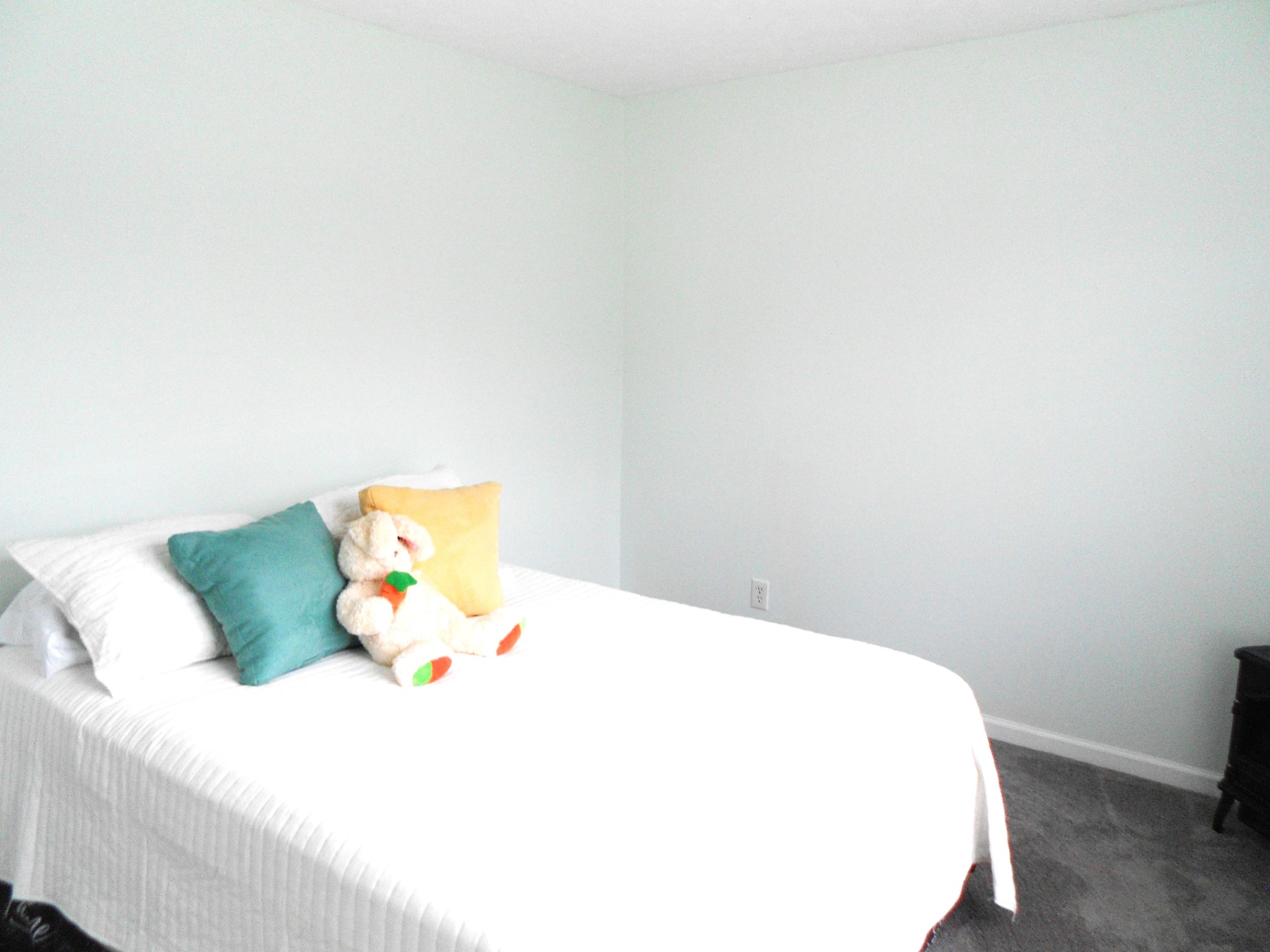 331 Chrissa Lane Lebanon, TN 37087 - Photo 10 of 20 a bed sitting in a bedroom next to a window