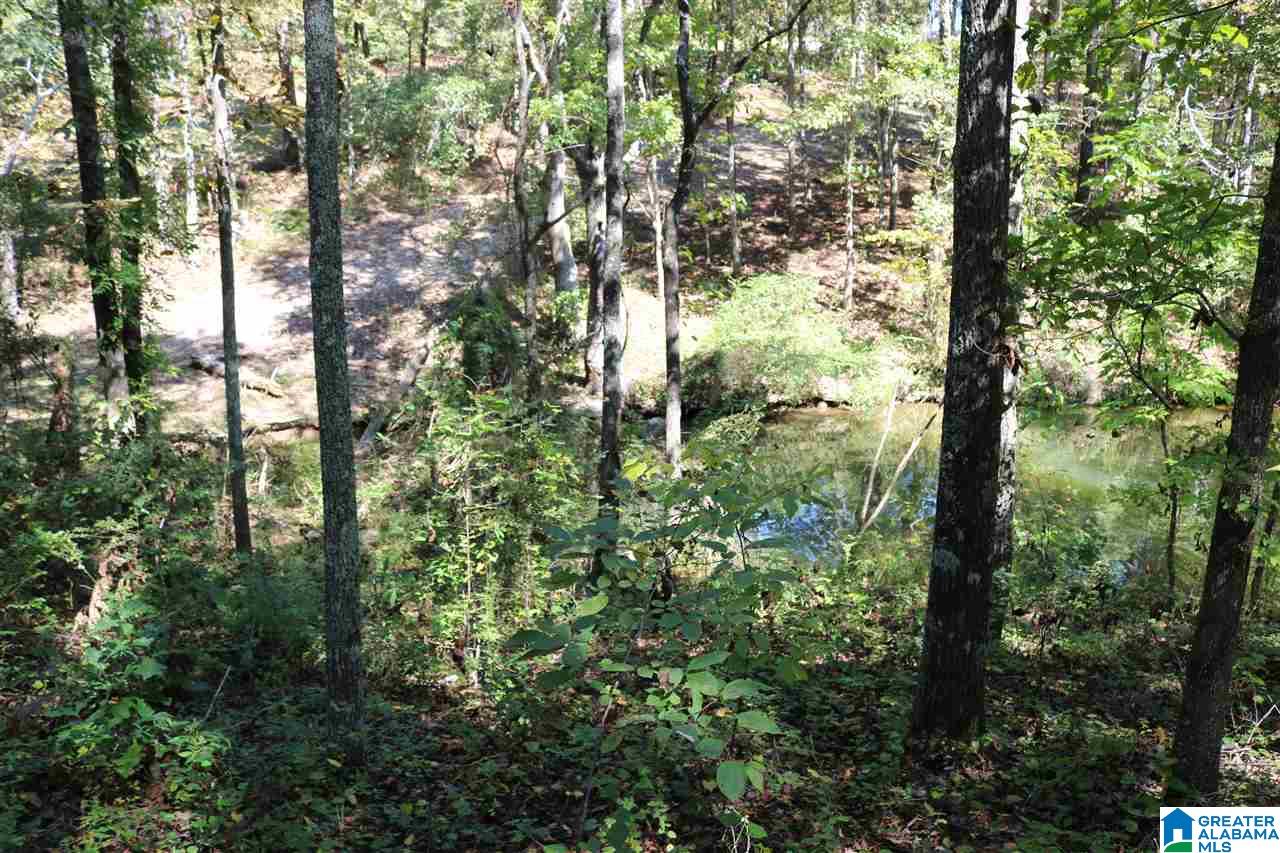 42 Fishers Way, Unit 42 Vincent, AL 35178 - Photo 4 of 4