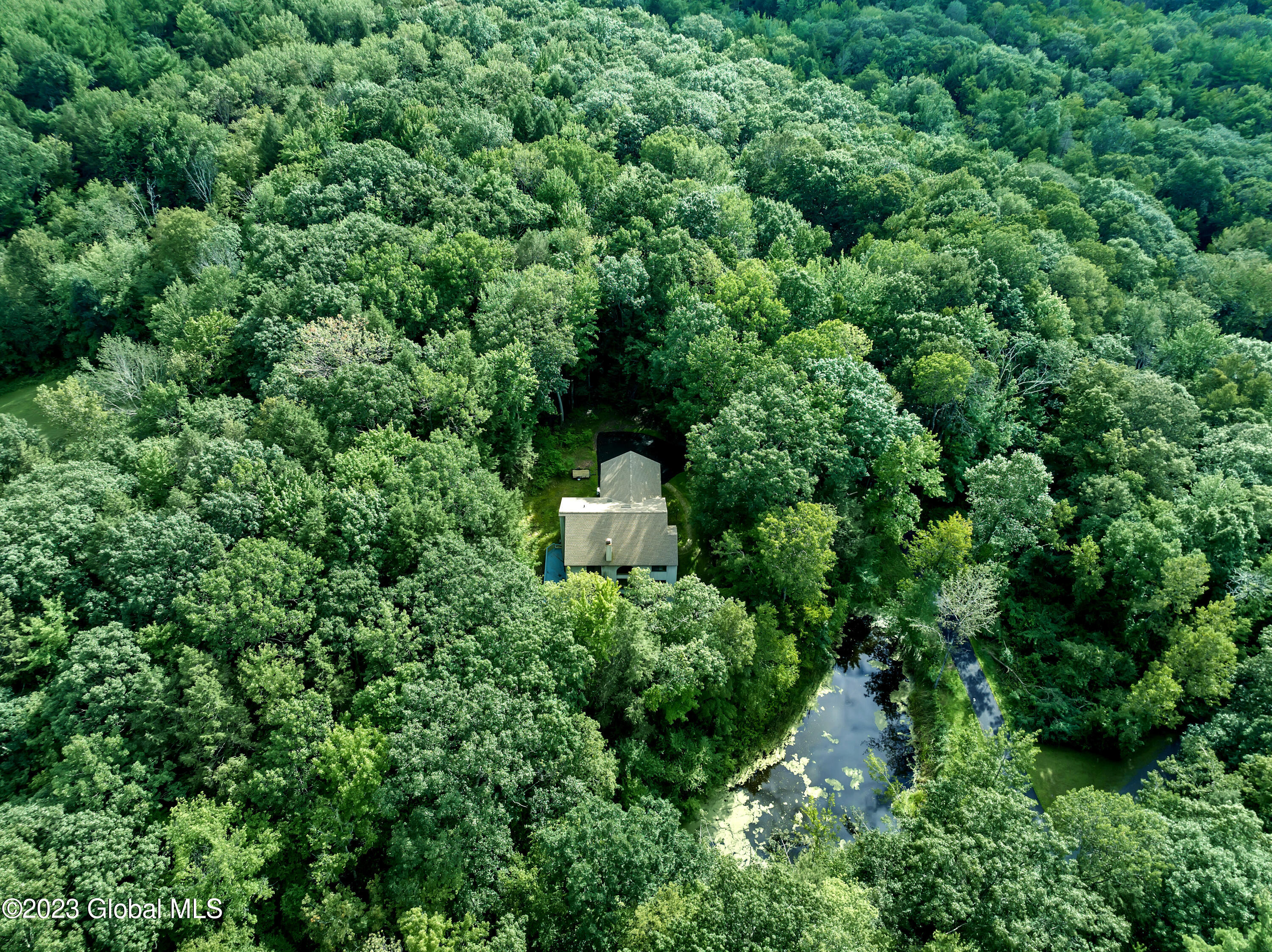 345 Millers Corners Road Sand Lake, NY 12061 - Photo 3 of 59 DJI_0615