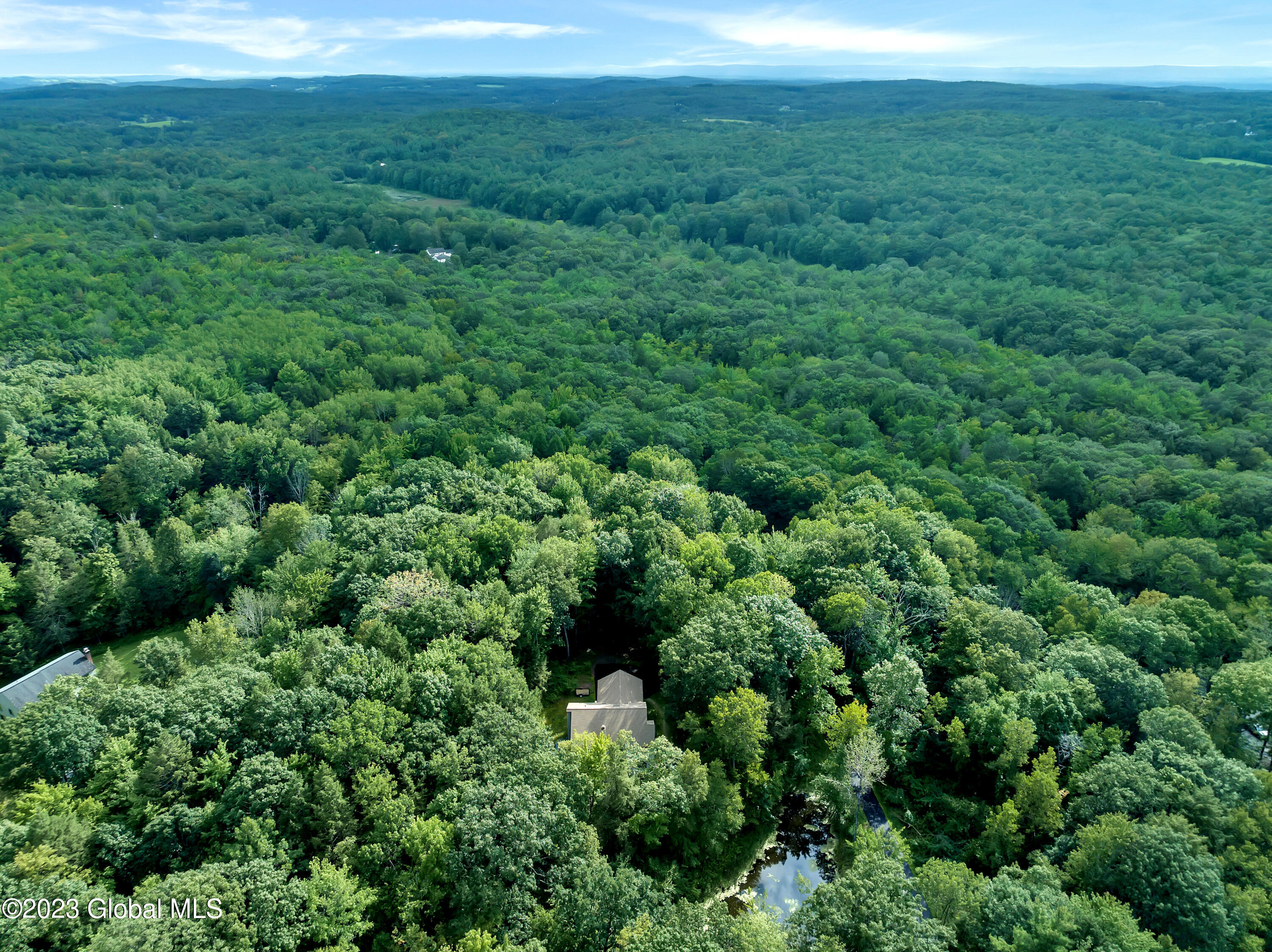 345 Millers Corners Road Sand Lake, NY 12061 - Photo 50 of 59 DJI_0620