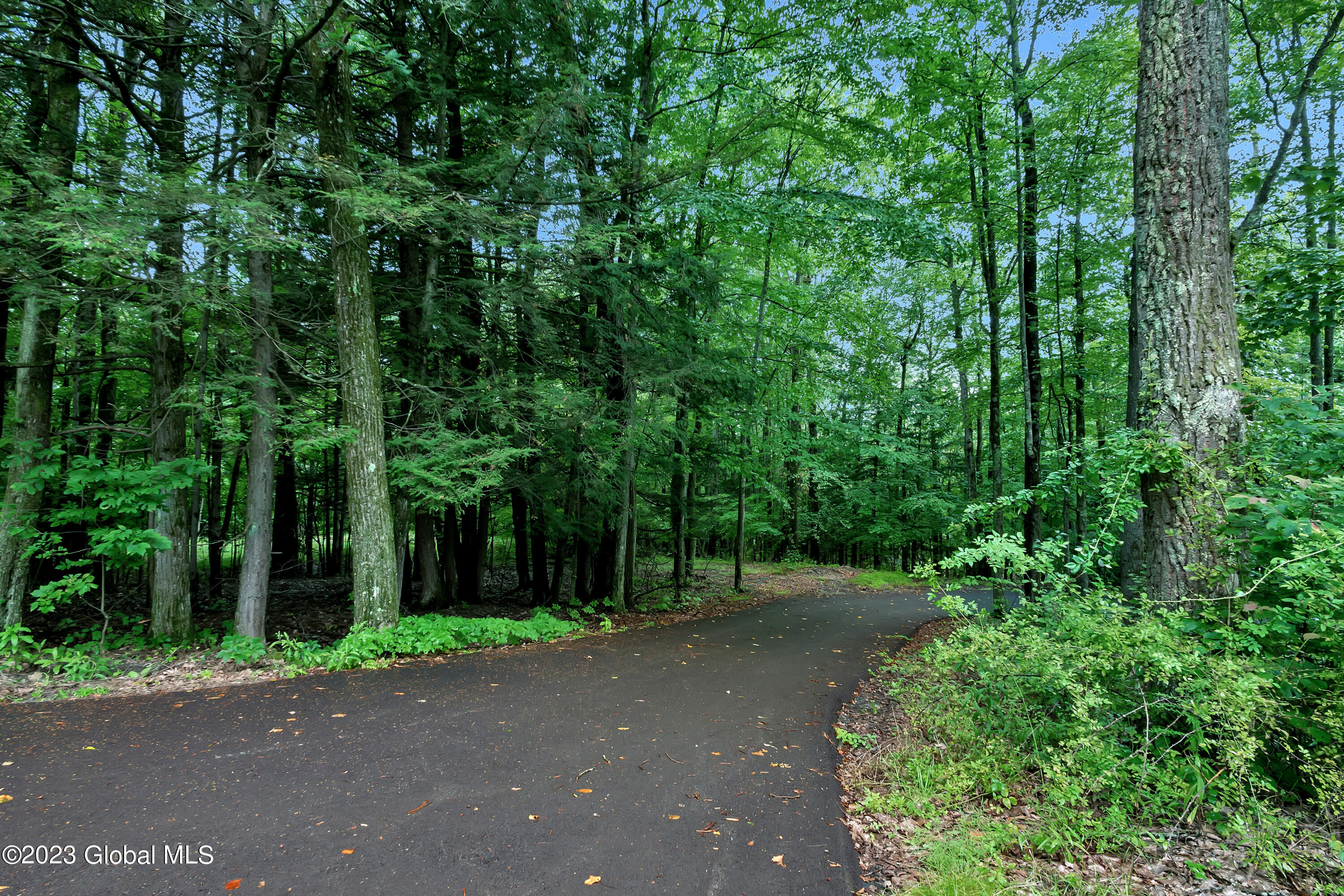 345 Millers Corners Road Sand Lake, NY 12061 - Photo 51 of 59 P1420866