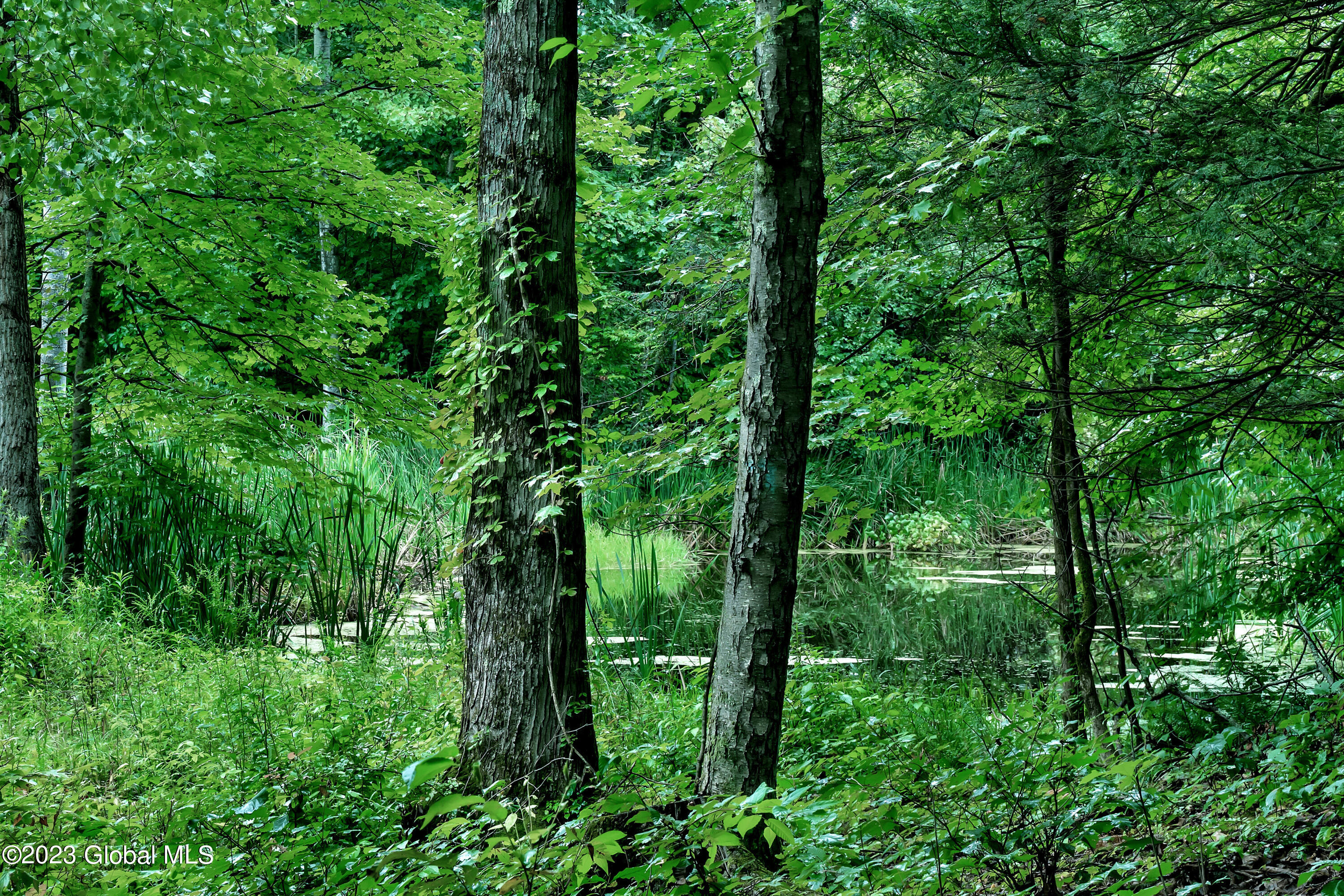 345 Millers Corners Road Sand Lake, NY 12061 - Photo 52 of 59 P1420871