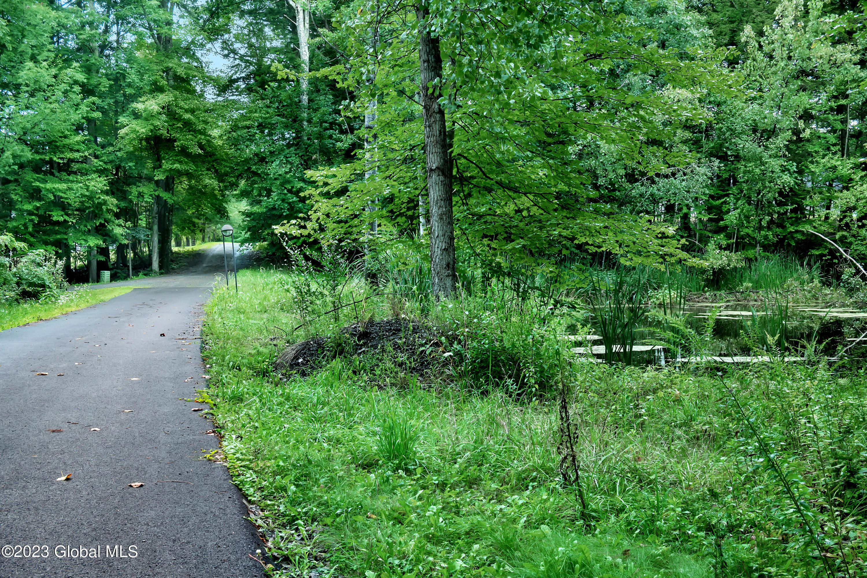 345 Millers Corners Road Sand Lake, NY 12061 - Photo 53 of 59 P1420881