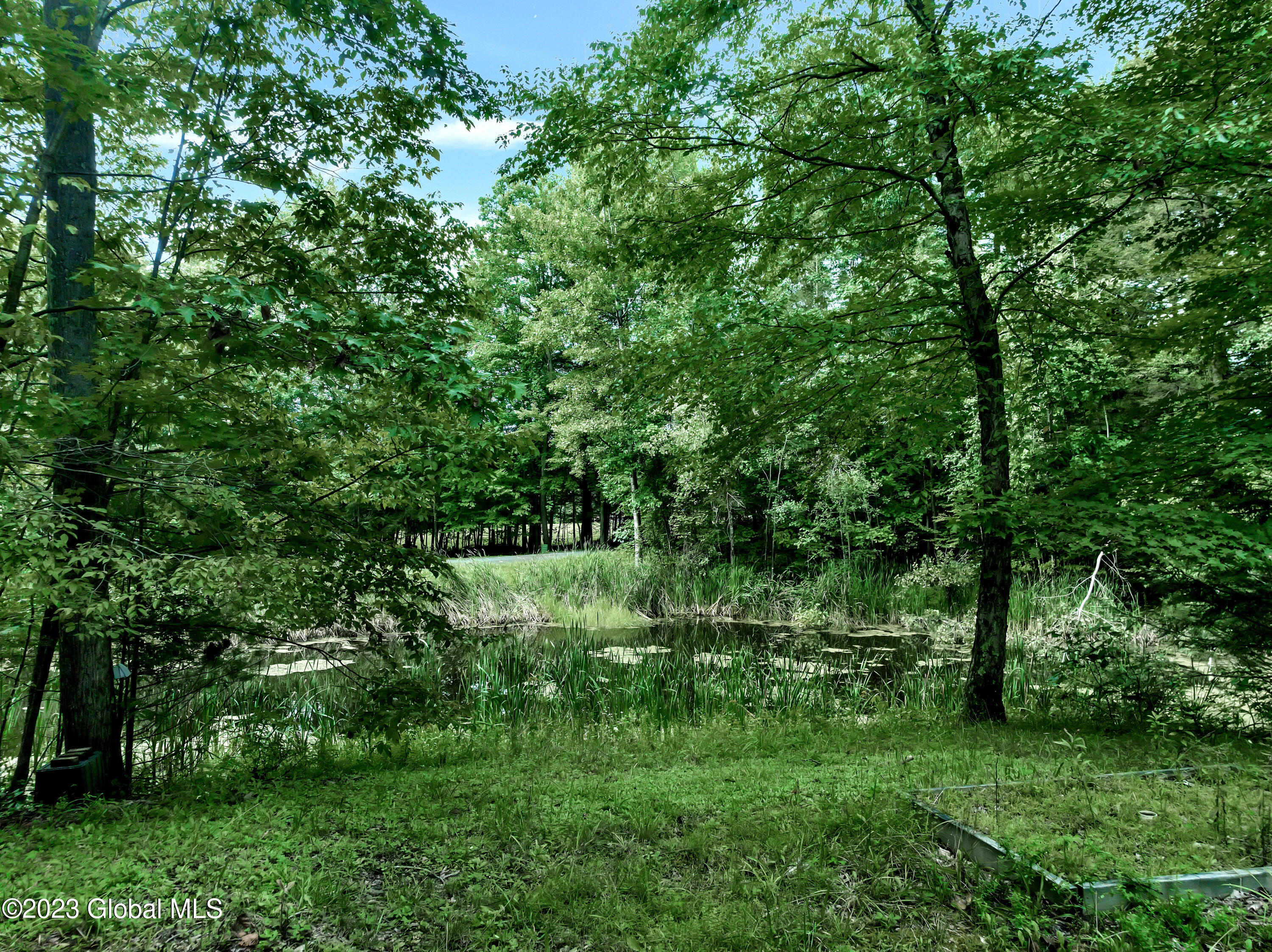 345 Millers Corners Road Sand Lake, NY 12061 - Photo 54 of 59 DJI_0600