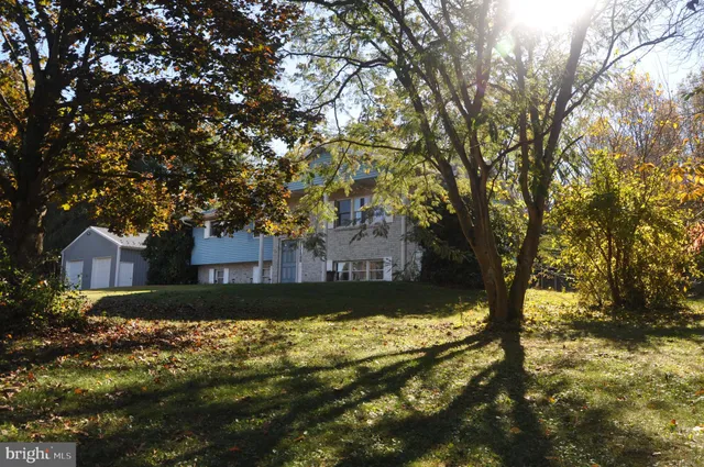 a view of a yard with large tree