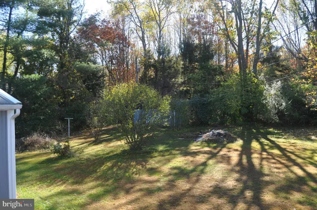 a view of a small yard