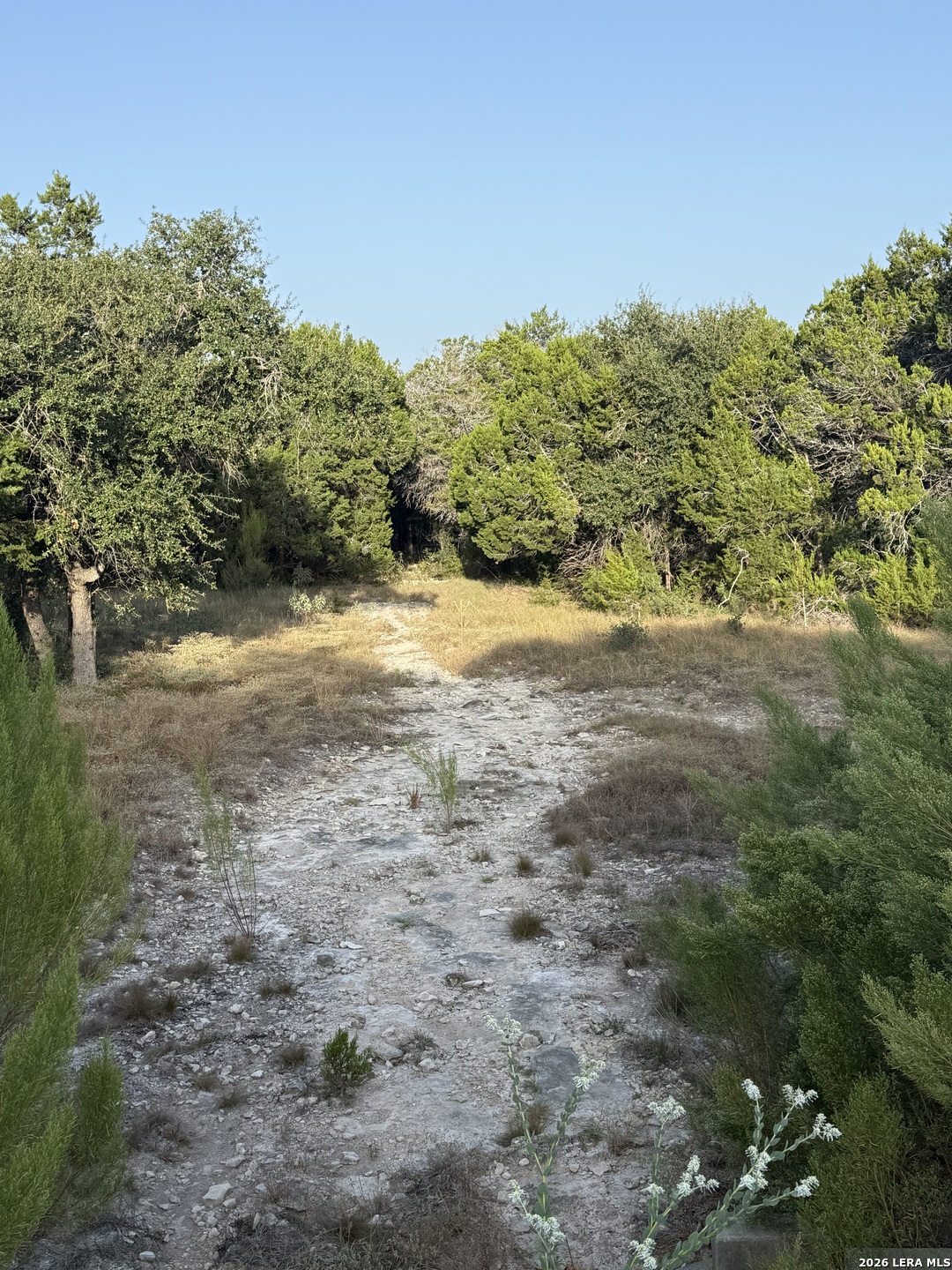 247 Restless Wind Spring Branch, TX 78070 - Photo 10 of 17 Gallery Image 10