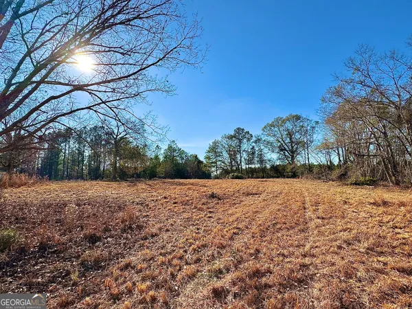 $62,500 | 0 Eugene Ward Road, Adrian, GA 31002
