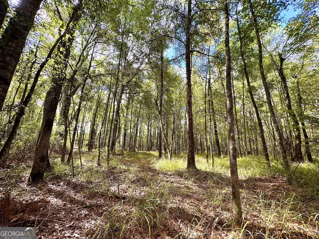 a view of outdoor space with lots of trees