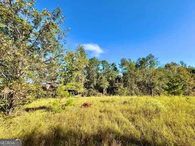 a view of a yard with a tree