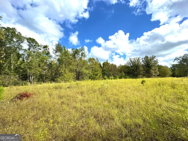 a view of a large yard with lots of green space