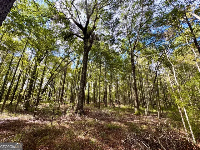 a view of backyard with green space