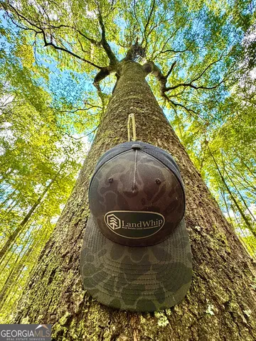 a view of water fountain