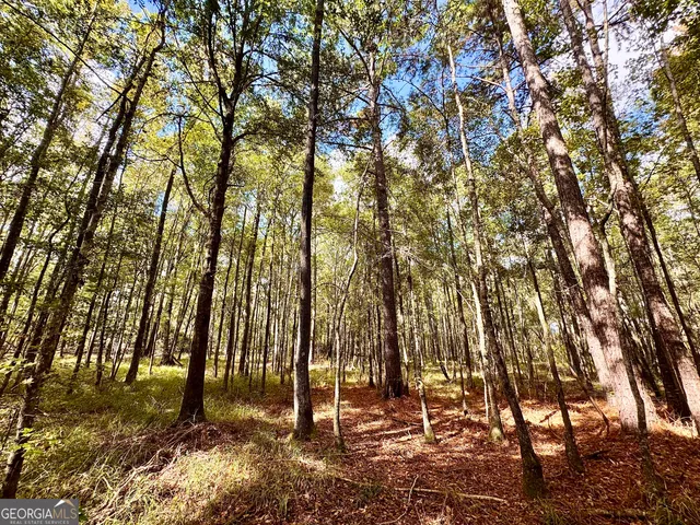 a backyard of a house with lots of trees