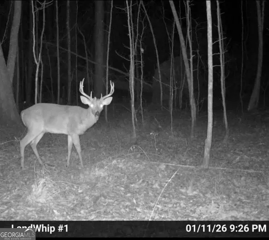 a view of a room with table and chair