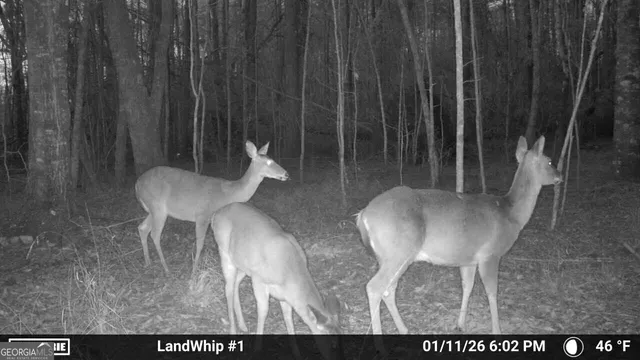 a view of a room with furniture and wooden floor