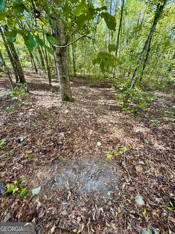 a view of outdoor space and a yard